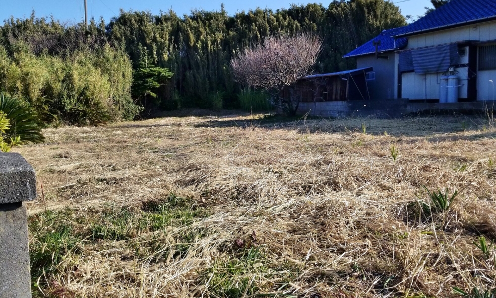 C360_20211223-094210-08-1-scaled