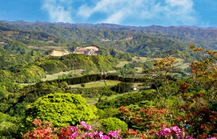 みどりと暮らす