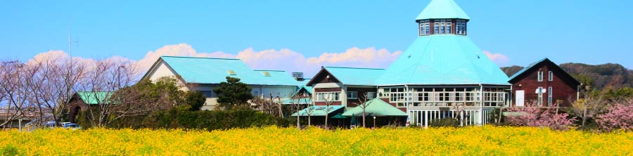 南房総が好きになる